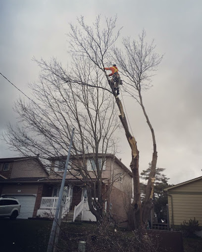Hardy’s Tree Service
