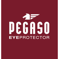 Pegaso Safety