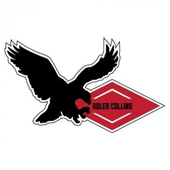Adler Collins Group