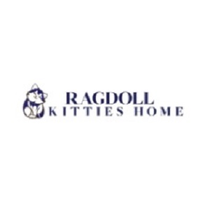 RAGDOLL KITTIES HOME