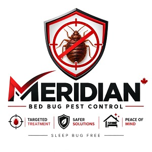 Meridian Bed Bug Treatment