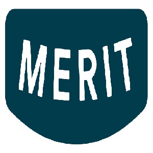 Merit Auto Spa
