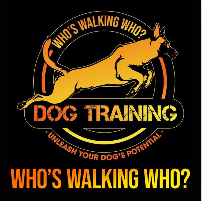 Who's Walking Who? Dog Training Utah