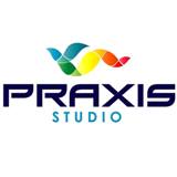 3dpraxisstudio  Company
