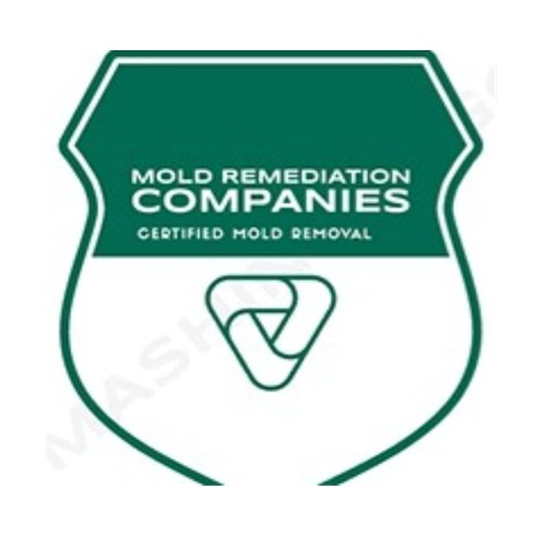 Grapevine Mold Remediation Pros