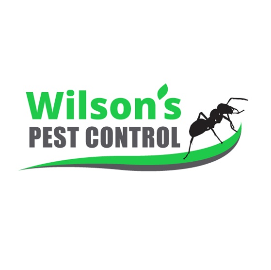 Wilson's Pest Control Gold Coast