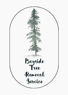 baysidetreeremovalservice