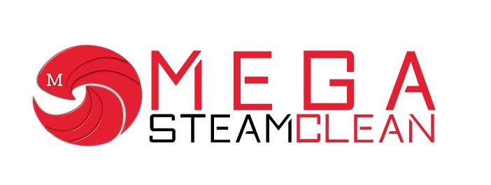 Mega Steam Clean
