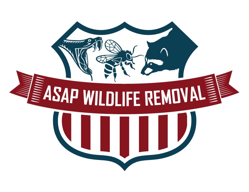 ASAP Wildlife Removal
