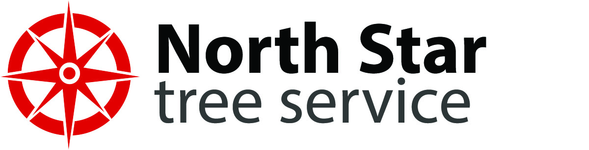 North Star Tree Service 