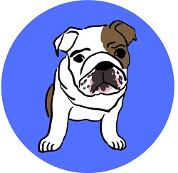 Pet So Fun Inc 
