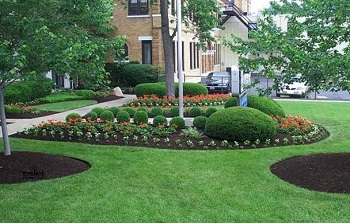 Pro Lawn Care Colleyville