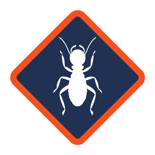 Affordable Termite Control - Santa Ana