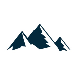 Snow Blower Review & Removal Service