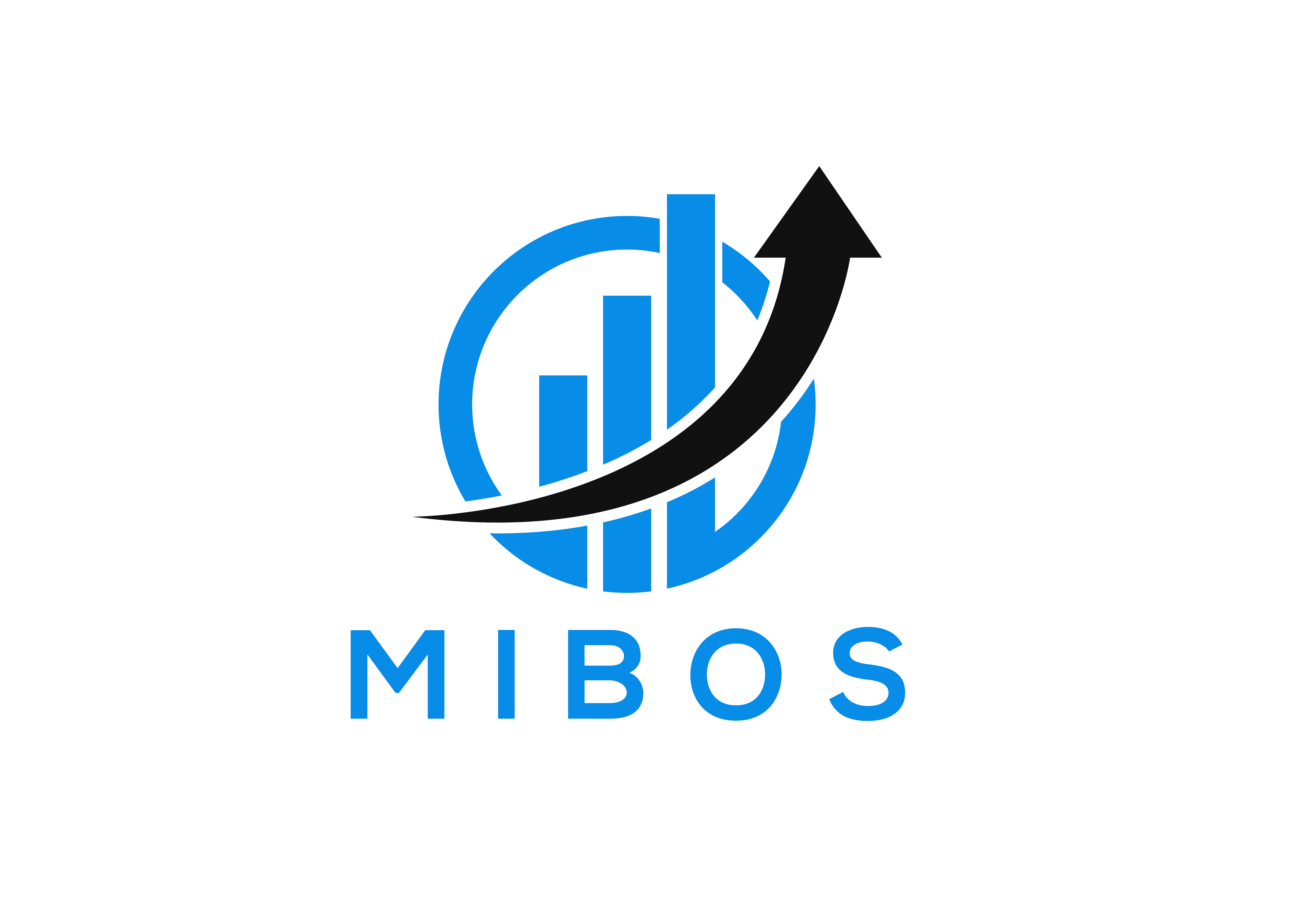 Mibos računovodstvo