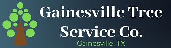 Tree Service Gainesville