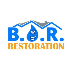 Best Option Restoration of Avondale