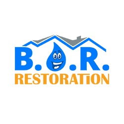 Best Option Restoration (B.O.R.) of Lakewood