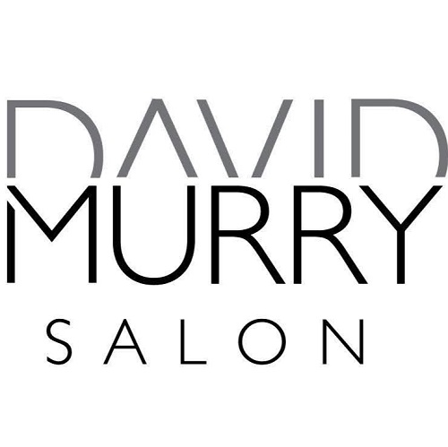 David Murry Salon