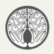Bridle Trails Family Dentistry, Kirkland