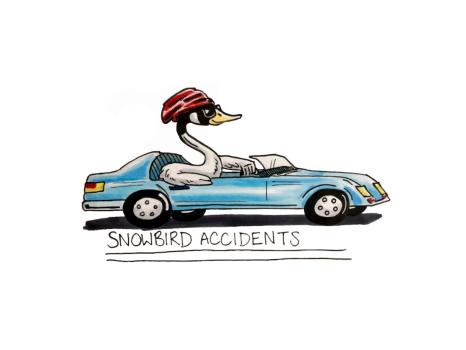 Snowbird Accidents