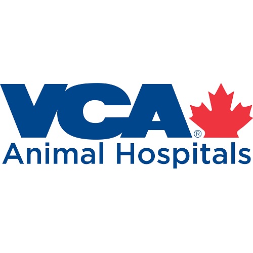 VCA Canada Cats Only Animal Hospital