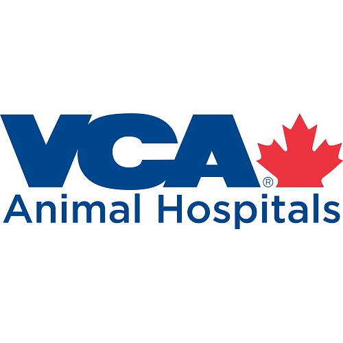 VCA Canada Frontier Animal Hospital