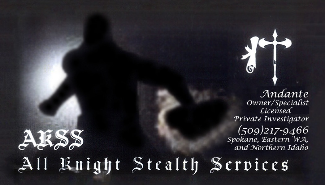 All Knight Stealth Services