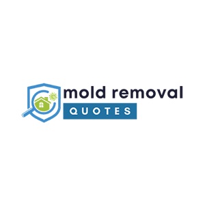 Twin Falls County Mold Remediation