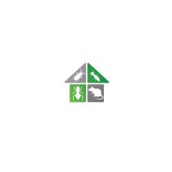 Little Wildlife Co