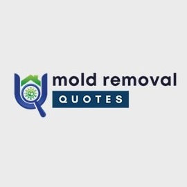 Aiken County Mold Removal
