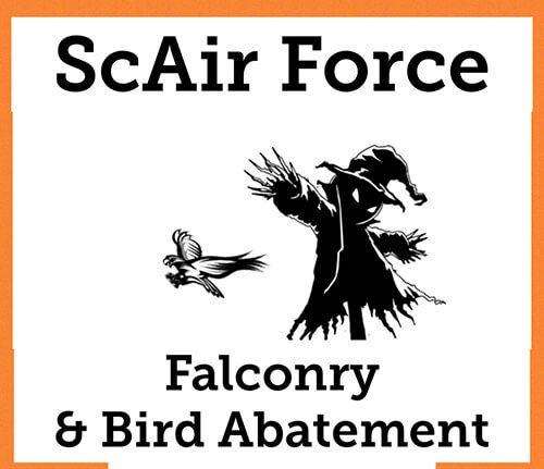 ScAIR Force Falconry & Bird Abatement