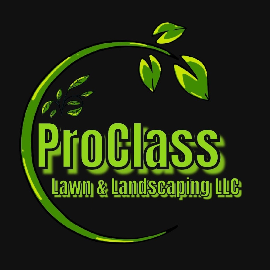 ProClass Artificial Turf