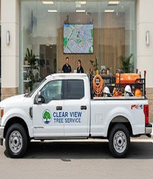 Clear View Tree Service