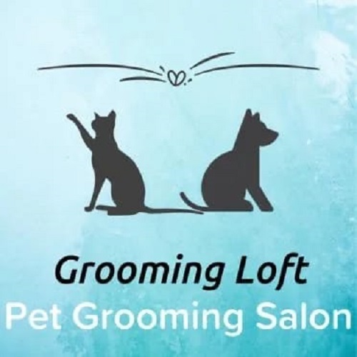 Grooming Loft Pet Salon