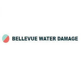 Bellevue Water Damage Restoration