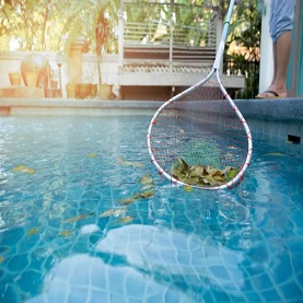 Ives Estates Pool Cleaning