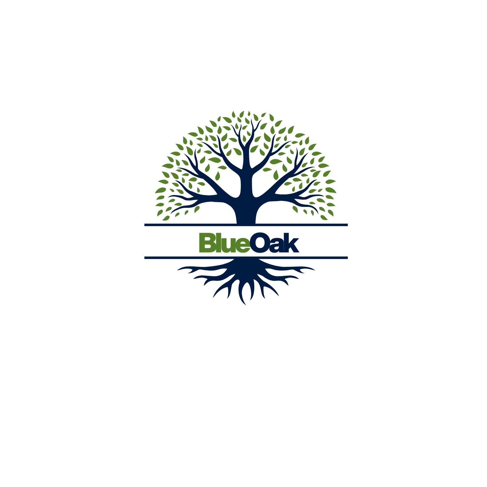 BlueOak Kingston
