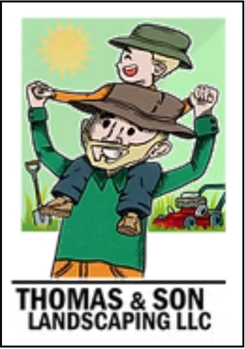 Thomas and Son Landscaping LLC