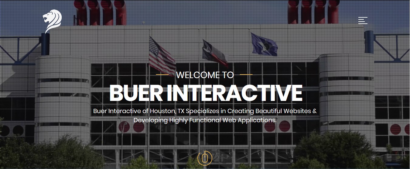 Buerinteractive Buerinteractive