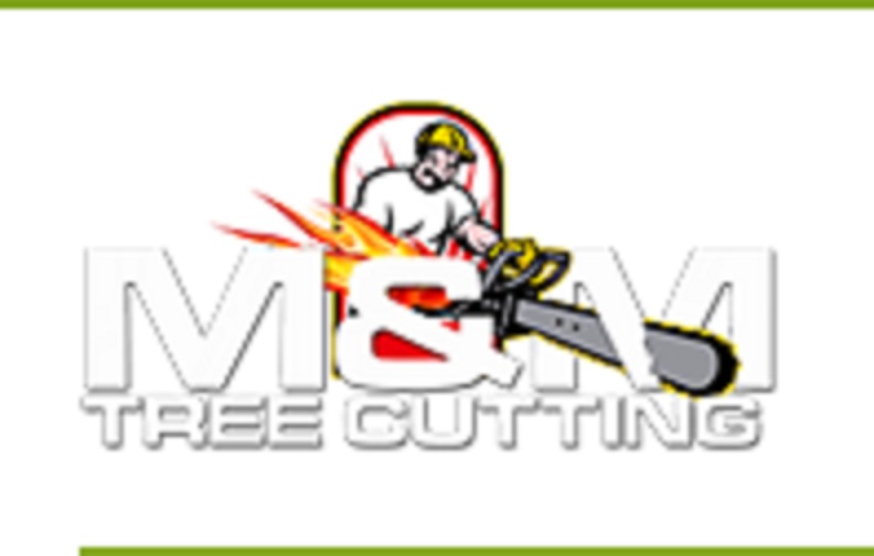Tree Service Cutting & Removal