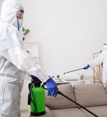 Eco Carpet Cleaning