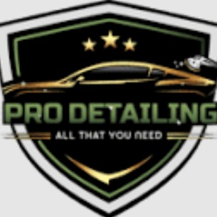 Pro Detailing