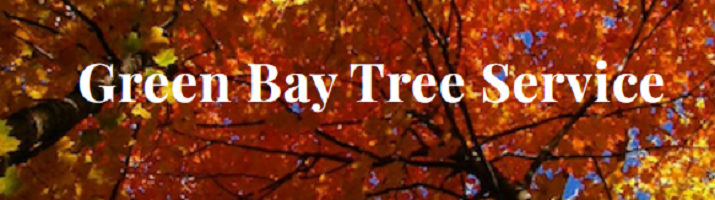 Green Bay Tree Service 