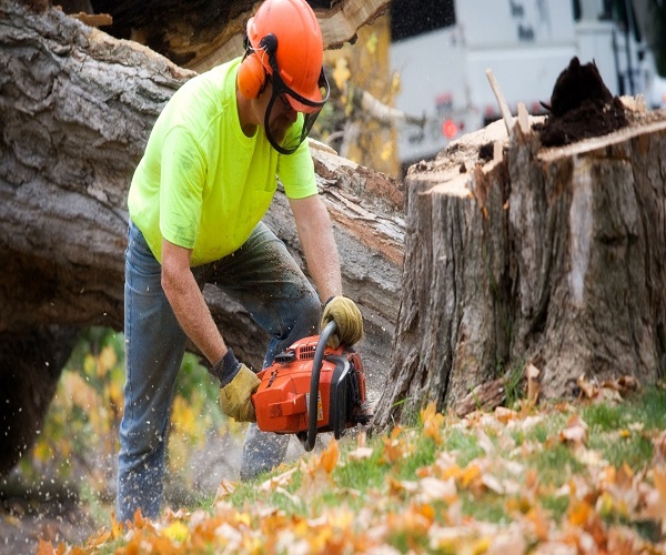 Athens Tree Service Co