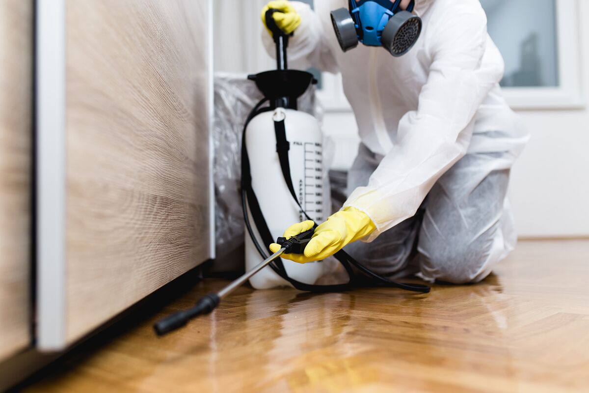 Kreshco Pest Control