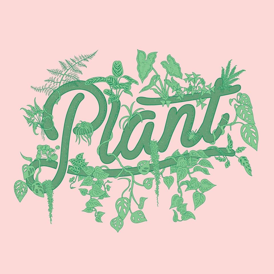 plantbypackwood