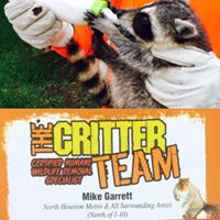 The Critter Team