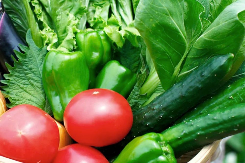 千石商店｜通販 野菜