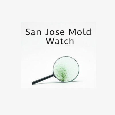 San Jose Mold Watch